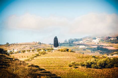 9 Of The Best Wine Tours In Porto That Pair Perfectly For Your Next Trip - Dream Plan Experience