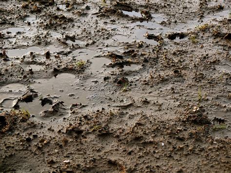 Free photo: Mud background - Close-up, Dirt, Mud - Free Download - Jooinn