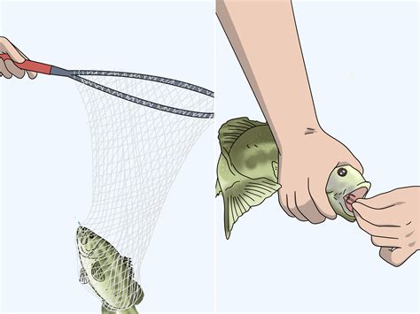 Easy Ways to Hook a Fish: 13 Steps (with Pictures) - wikiHow