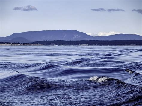 Where Is The Salish Sea? - WorldAtlas