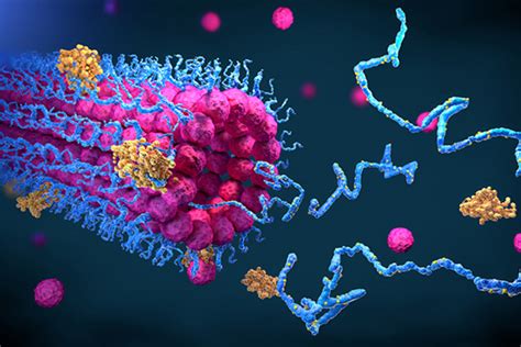 3d Protein Structure