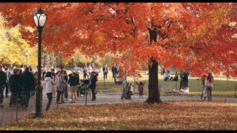 Central Park Fall Foliage 2016 - YouTube