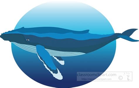 Ocean Mammals Clipart-humpback whale in natural environment clipart