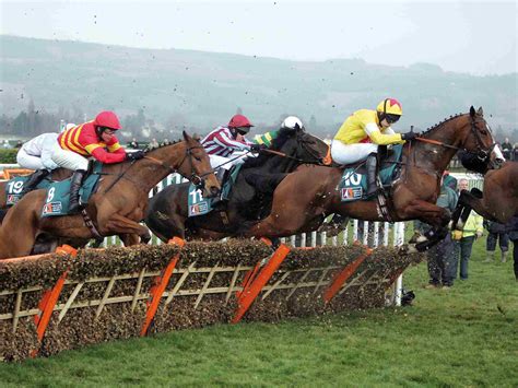 Cheltenham Festival - Nth Degree Global