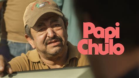 Papi Chulo (2018) - Netflix | Flixable