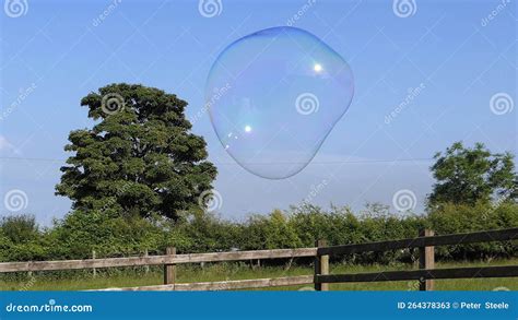 Giant Soap Bubble with Bubble Wand Stock Image - Image of chardin, hollow: 264378363