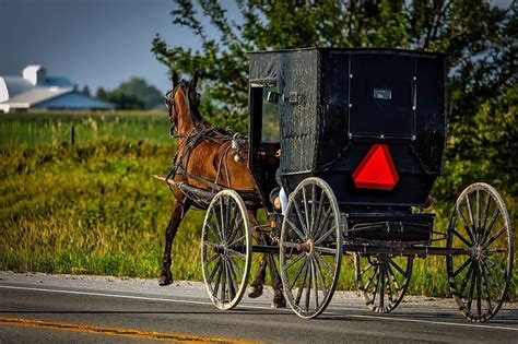 Amish Buggy Sighting - AAA Buggy Rides