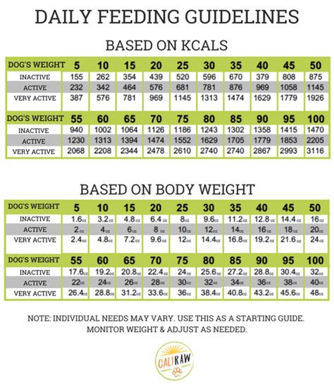 Raw Dog Food Feeding Chart & Body Score Chart