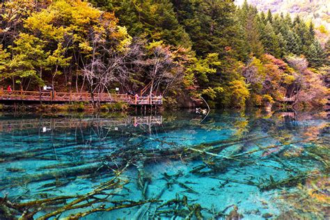 Jiuzhaigou Valley - Jiuzhaigou Attractions - China Top Trip