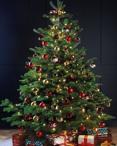 Cheapest Christmas tree: Aldi sells best-value tree for 2020 | Express.co.uk