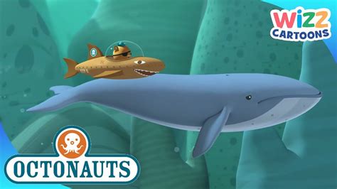 @Octonauts - Big Sea Creatures | Compilation | Wizz Cartoons - YouTube