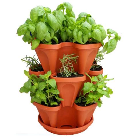 Indoor Herb Garden Ideas