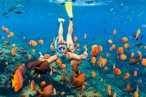 NUSA PENIDA PRIVATE SNORKELING - Bali Ubud Tour