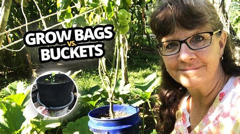 Grow Bags vs Buckets Which is better and why? | Grow bags, Seasonal garden, Growing