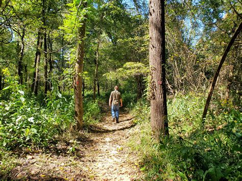 Hiking Through History: the Battle of Musgrove Mill - Sponsored Content - Blue Ridge Outdoors ...