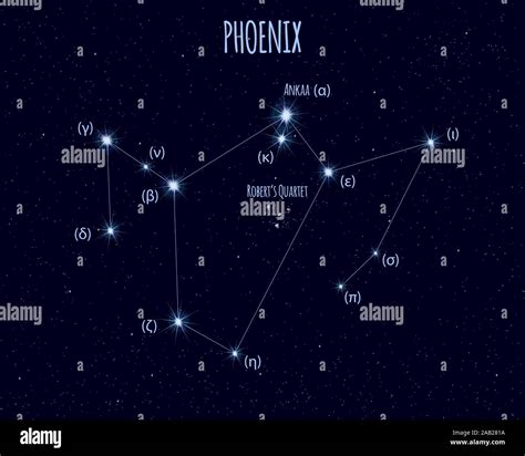 Phoenix constellation, vector illustration with basic stars against the starry sky Stock Vector ...