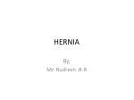 PPT - hernia PowerPoint Presentation, free download - ID:2957512