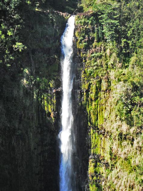 Akaka Falls - GEOG 368: Geography of Hawai'i