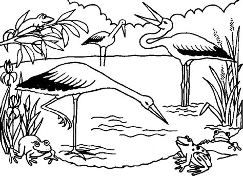 Ecosystem Coloring Pages - Coloring Home