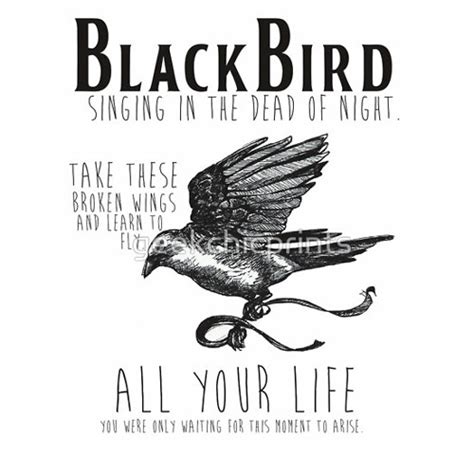 Stream The Beatles - blackbird (cover) Iseng by alvin_arbrian | Listen ...