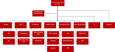 Management Team Organization Chart