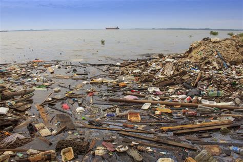 Un continent de déchets plastiques a été découvert dans l'océan ...