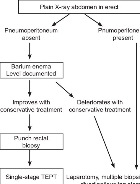 Treatment protocol for HD. | Download Scientific Diagram