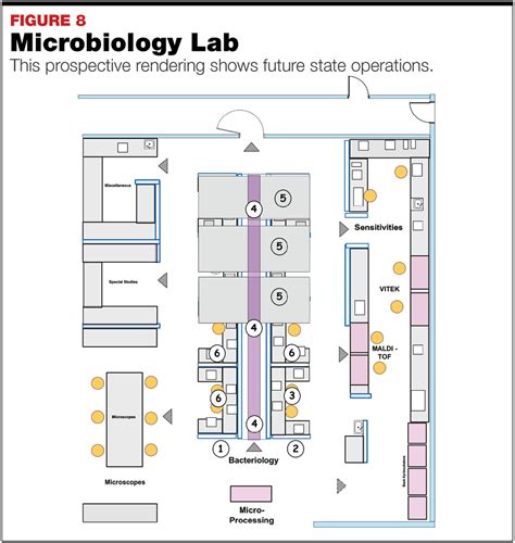 Modern Microbiology: Laboratory Planning and Design : May 2019 - MedicalLab Management Magazine