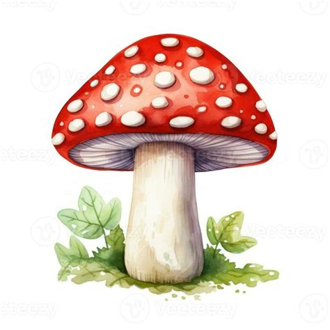 Cute Toadstool Watercolor Clipart on White Background AI Generated ...