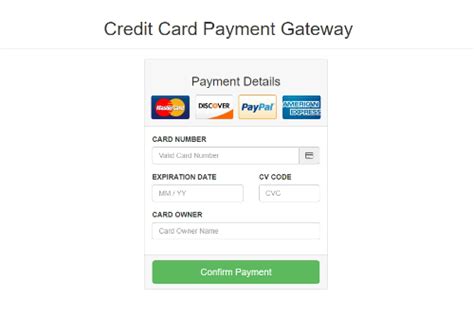 payment Snippets Examples