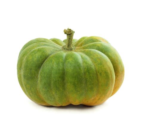 Pumpkin Plant. Growing Pumpkins. Orange, Green , Yellow Pumpkin. Harvest. Colorful Vegetables ...