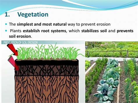 Soil erosion control measures