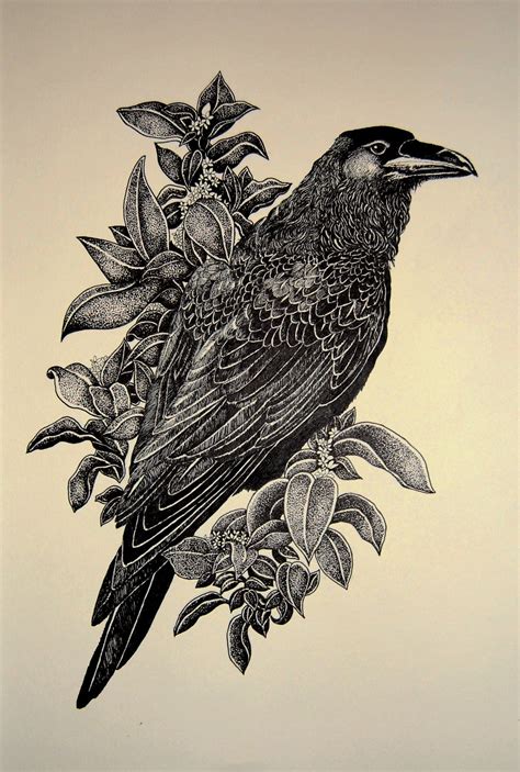 Raven Bird Drawing at GetDrawings | Free download