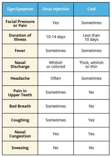 Sinus Infection Vs Cold