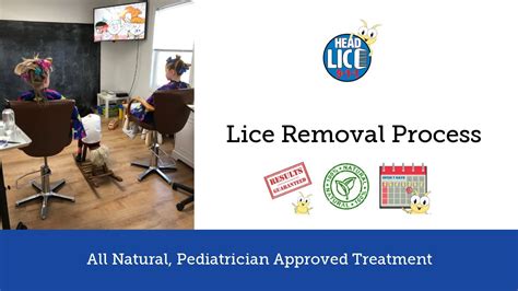 Lice Removal Process at HeadLice911 Lice Treatment Centers - YouTube