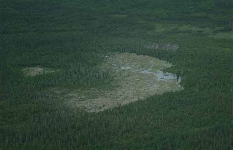 World's Largest Beaver Dam Is Visible from Orbit