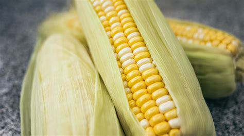 The Wild History of Corn - gardenstead