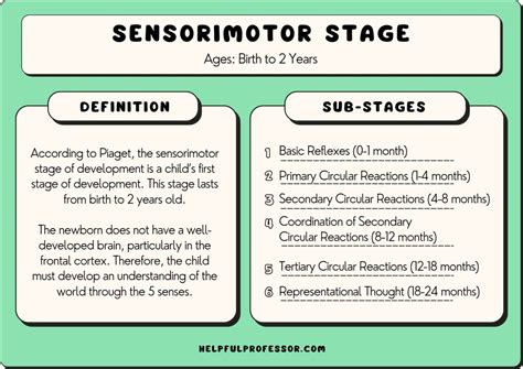 10 Sensorimotor Stage Examples (2024)