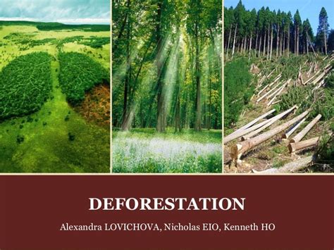 Deforestation: Causes, Effects and Solutions