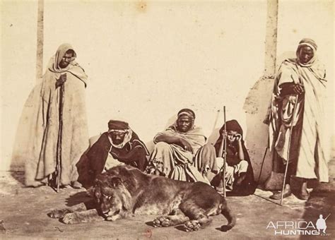 Barbary Lions Hunt Morocco | AfricaHunting.com