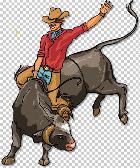 Bull Riding Rodeo PNG, Clipart, Animals, Bull, Bull Riding, Cartoon ...