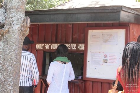 Tour of the Giraffe Centre in Nairobi, Kenya (10) - Wheels On Our Feet