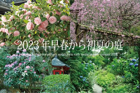 新善光寺HP‐2023年早春から初夏の庭 Shinzenkoji pictures update from early spring to ...