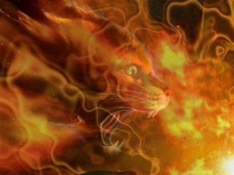 Warrior Cats Firestar Backgrounds, firestar warrior cats HD wallpaper ...