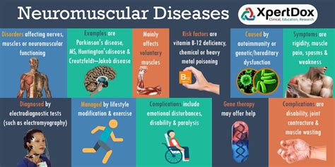 Neuromuscular Diseases: Find Best Doctors and Hospitals | Xpertdox