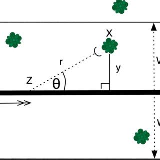 The quadrat method. A quadrat is tossed within a sampling area, and ...