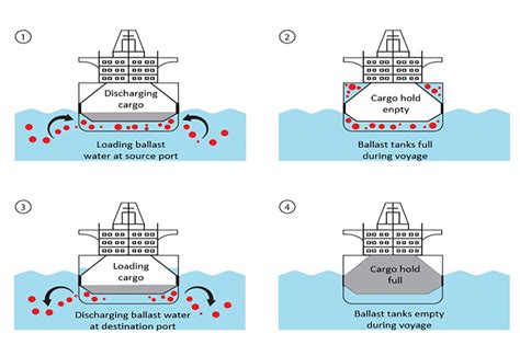 How to comply with Ballast water regulation | Danfoss