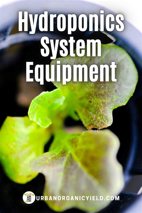 Hydroponics Gardening Design and Equipment | Hydroponics, Hydroponic ...