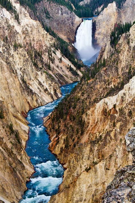 Grand Canyon of Yellowstone Photograph by Bill Gallagher - Fine Art America