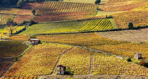 Wine tourism in France in numbers | The greatest destinations in the ...